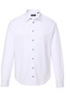 Tradiční žerzejová košile Men+, dlouhé rukávy, žerzej, Kent límeček, Modern střih, do 8XL