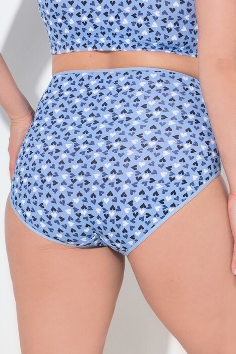 Briefs