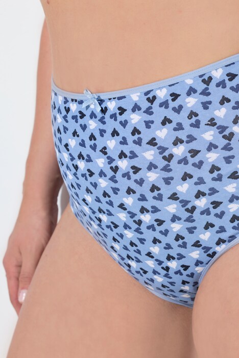Briefs
