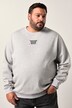 Men+ sweatshirt, print på ryggen, op til str. 8 XL