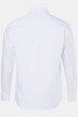 Chemise JP 1880, col à pointes boutonnées et technologie FLEXNAMIC®, coupe Modern Basic Fit - jusqu'au 7 XL