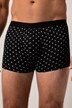 JP1880 Hip-Pants FLEXNAMIC®, OEKO-TEX, 2er-Pack, Unterhose, bis 8XL