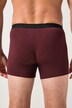 JP1880 Mid-Pants FLEXNAMIC®, OEKO-TEX, 3er-Pack, Unterhose, bis 8XL