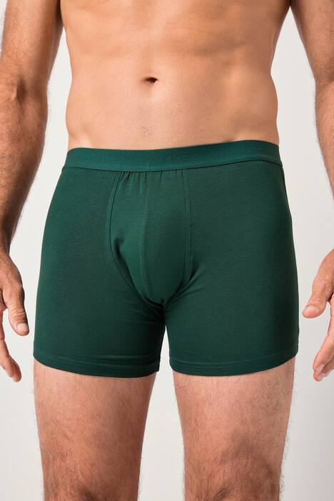 JP1880 Mid-Pants FLEXNAMIC®, OEKO-TEX, 2er-Pack, Unterhose, bis 8XL