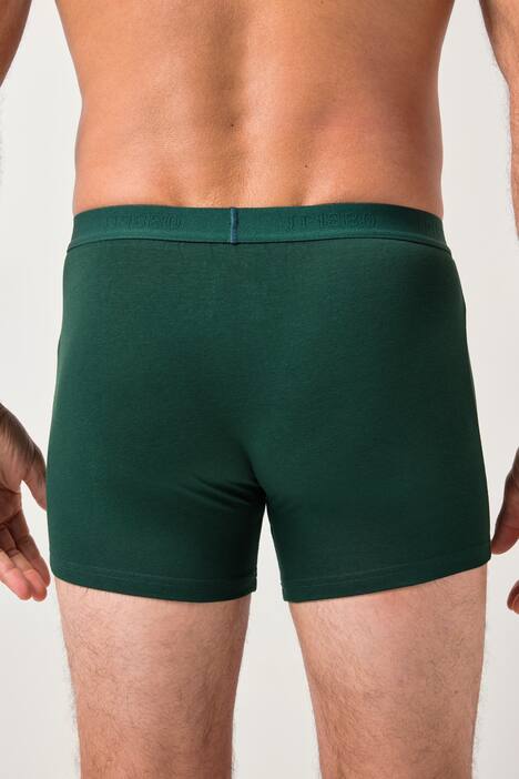 JP1880 Mid-Pants FLEXNAMIC®, OEKO-TEX, 2er-Pack, Unterhose, bis 8XL