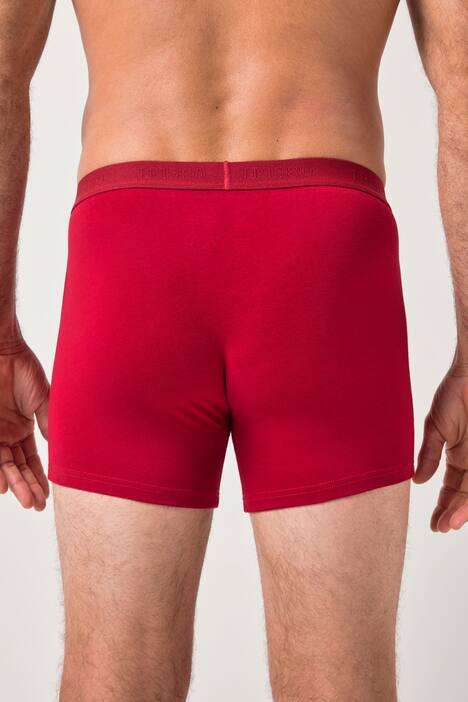 JP1880 Mid-Pants FLEXNAMIC®, OEKO-TEX, 2er-Pack, Unterhose, bis 8XL