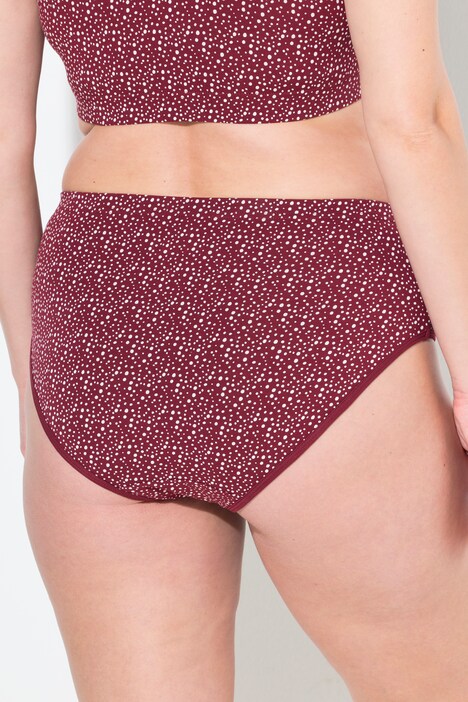 Briefs