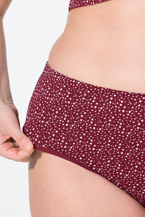 Briefs