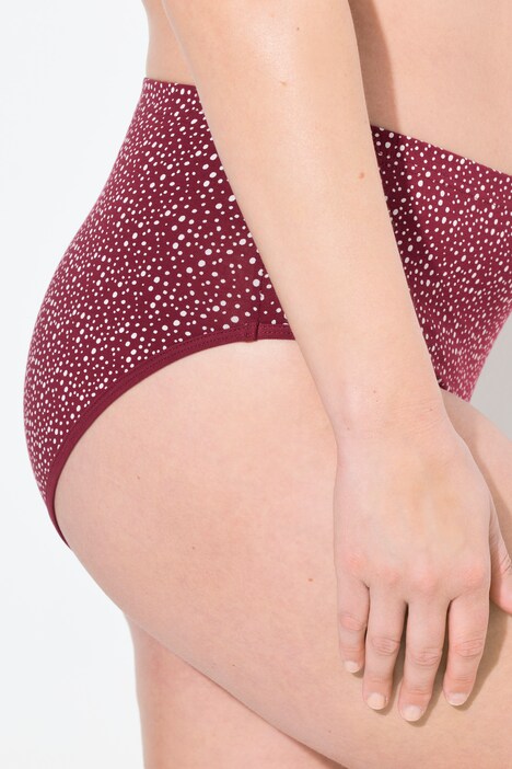 Briefs