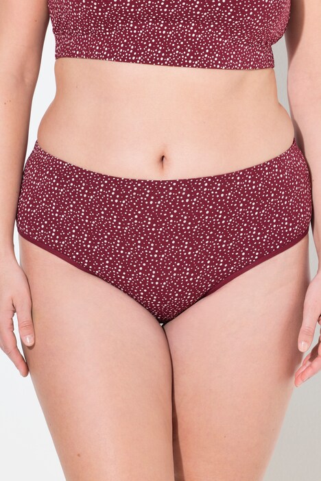 Briefs