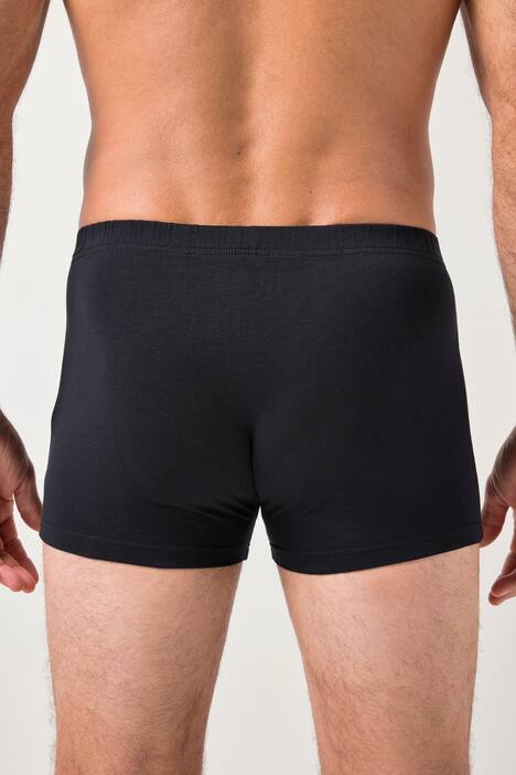 JP1880 Hip-Pants FLEXNAMIC®, OEKO-TEX, 2er-Pack, Unterhose, bis 8XL