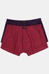 JP1880 Hip-Pants FLEXNAMIC®, OEKO-TEX, 2er-Pack, Unterhose, bis 8XL