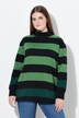 Eco Cotton Striped Turtleneck Sweatshirt