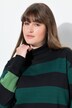 Eco Cotton Striped Turtleneck Sweatshirt