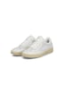 Sneaker Low M5521