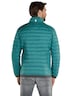 Herren Steppjacke regular , Tuerkis
