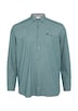 Regular Fit: Kariertes Hemd mit Button-Down-Kragen
