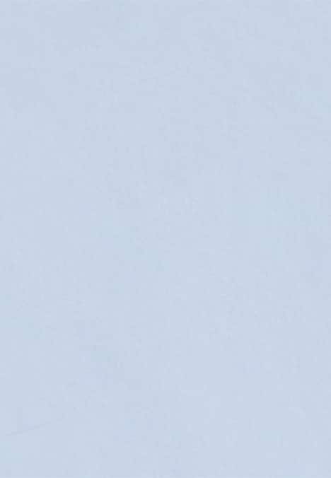 Damen Kelchkragenbluse - Uni