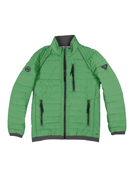 Herren Steppjacke regular , Grasgruen
