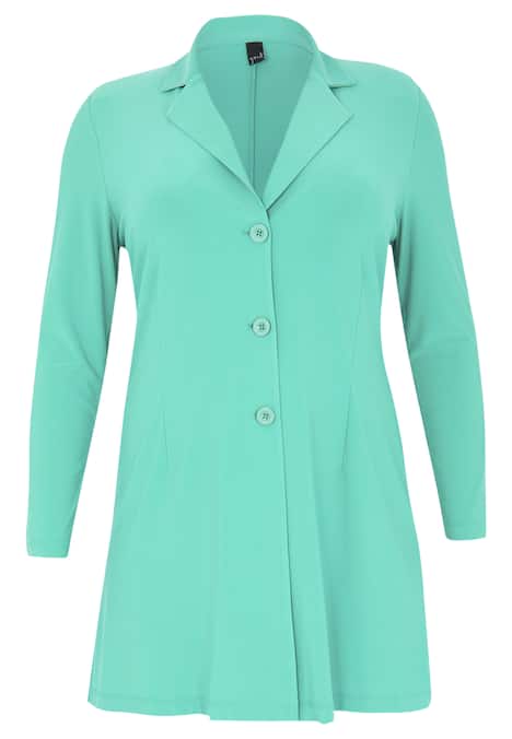 Blazer met lange mouwen