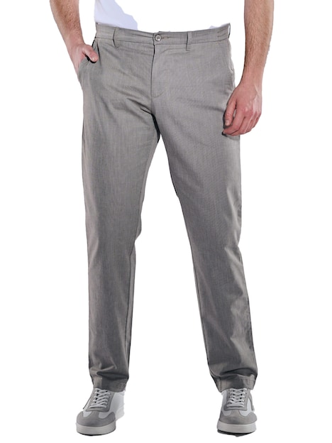 Chino regular