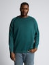 Tom Tailor Men PLUS Pullover & Strickjacken Plus Size - Strickpullover aus Baumwolle