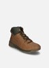 Herren Stiefelette Raymond 53, camel-kombi