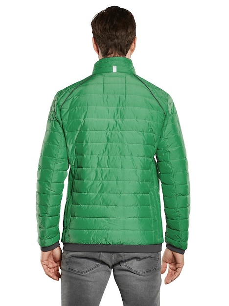 Herren Steppjacke regular , Grasgruen