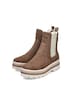 Chelsea Boots Y6260