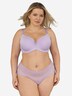 High-Panty LACE BASIC