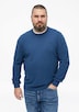 Baumwollpullover mit Logo-Stickerei