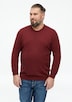 Baumwollpullover mit Logo-Stickerei