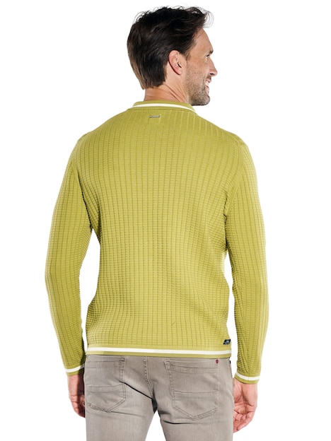 Herren Pullover , Hellgruen