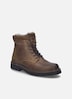Herren Stiefelette Curtis 50, castagne
