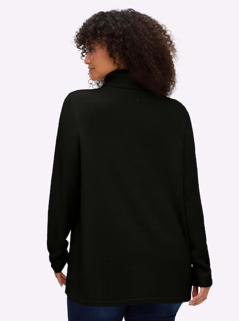 Pullover Langarm Jersey Uni Rollkragen