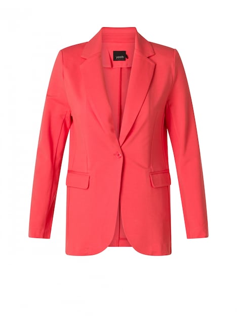 Blazer Viany