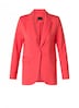 Blazer Viany