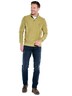 Herren Sweatshirt mit Stehkragen , Hellgruen
