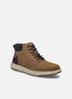 Herren Stiefelette Clayton 03, camel-kombi
