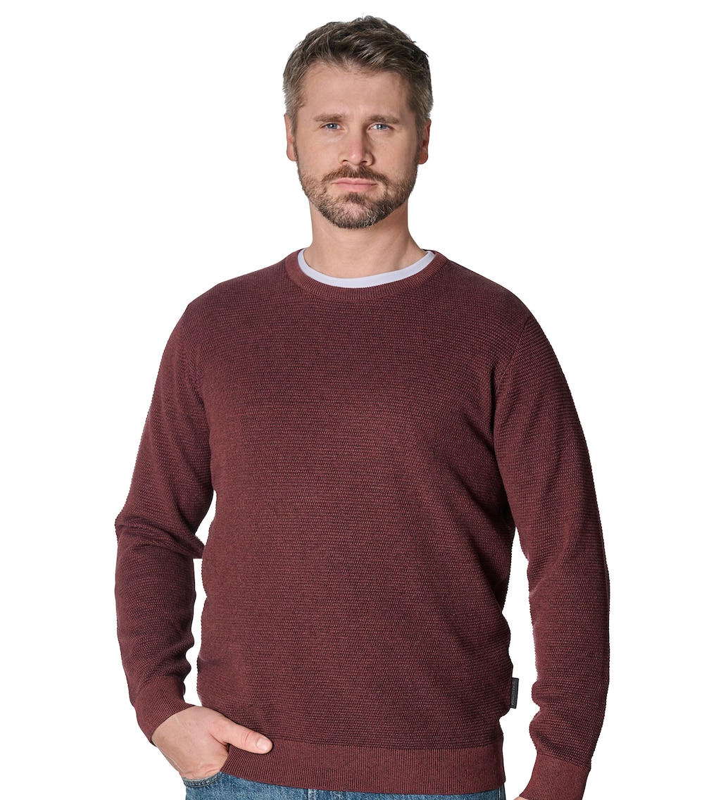 Pullover uni Basic Knitwear