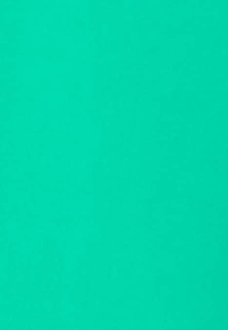 Damen Shirtbluse - Uni