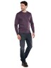 Herren Sweatshirt , Bordeaux