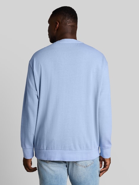 Sweatshirt im Used-Look