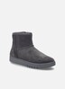 Damen Stiefelette Jessie 09, grau
