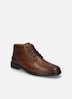 Herren Halbschuh Alastair 17, cognac