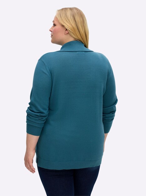 Pullover Langarm Jersey Uni Rollkragen