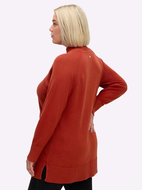 Longpullover Langarm Jersey Uni Stehkragen