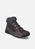 Herren Stiefelette Raymond 53, granit-kombi