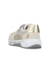Sneaker Low 53101