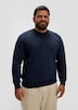 Sweatshirt mit Logoprint